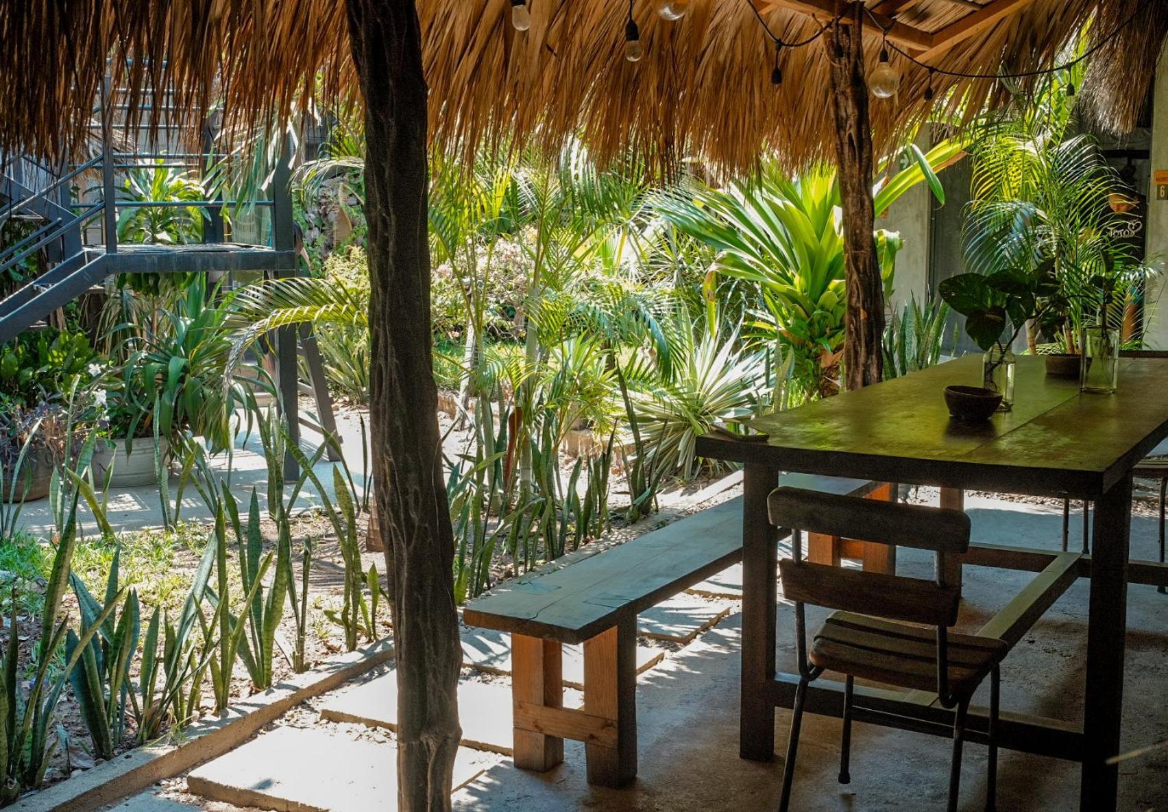 Puerto Dreams H Hostel Puerto Escondido  Exterior photo